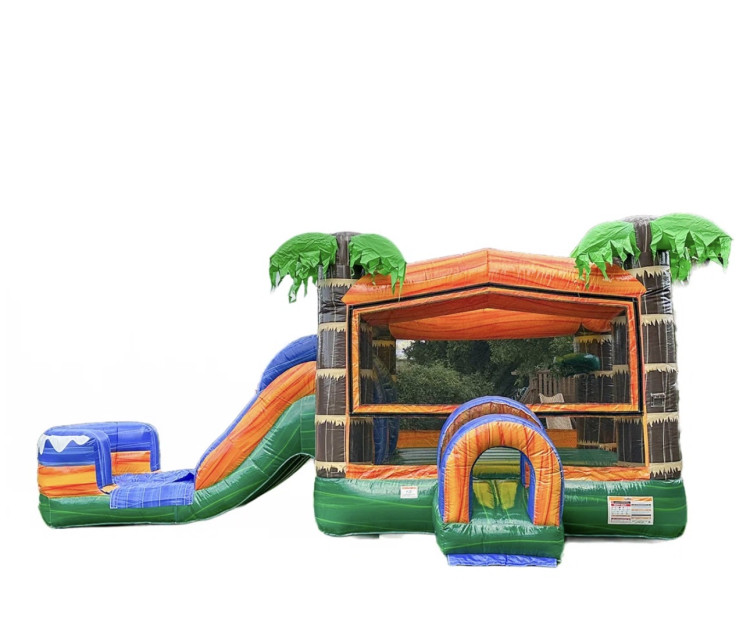Bounce Houses W/ Slide Rentals
